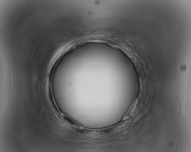 X0000100850293200806200808