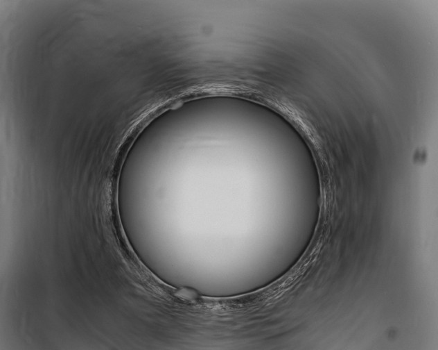 X0000100850297200806200808