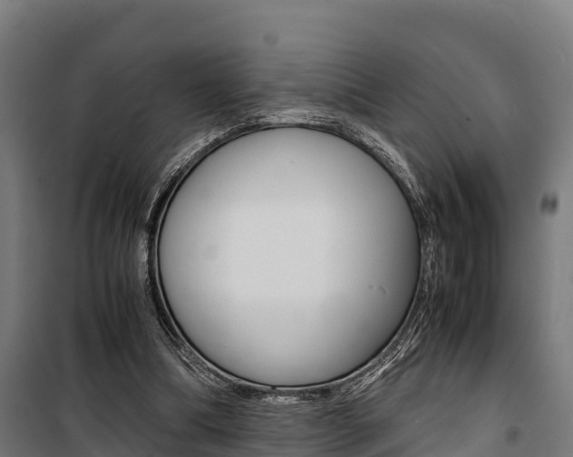 X0000100850298200806200808