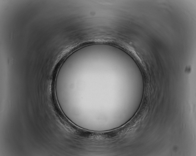 X0000100850299200806200808