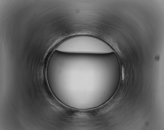 X0000100850300200806200808