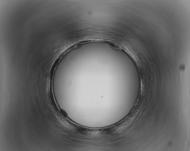X0000100850301200806200808