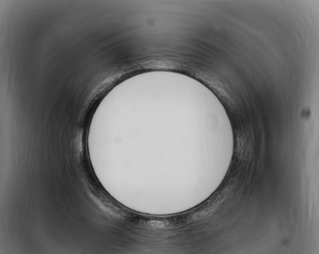 X0000100850302200806200808