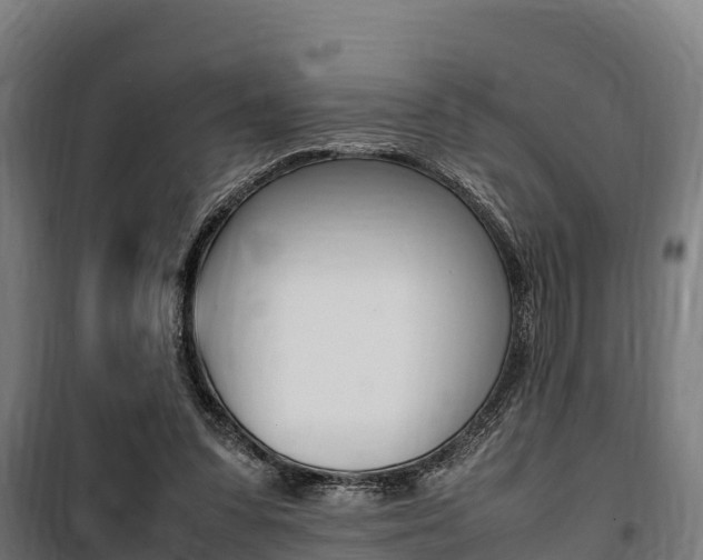 X0000100850303200806200808