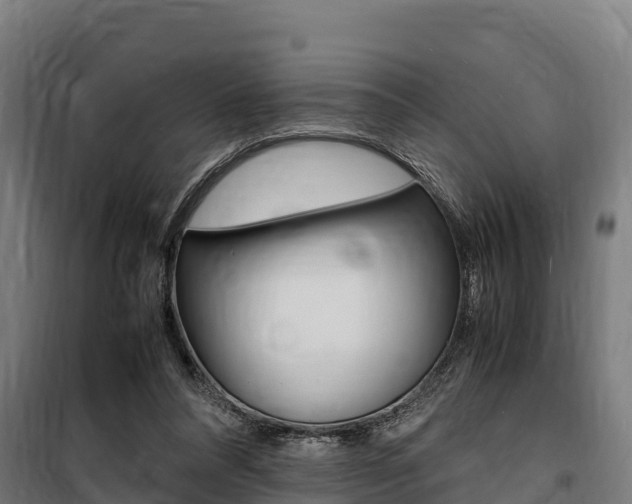 X0000100850304200806200808