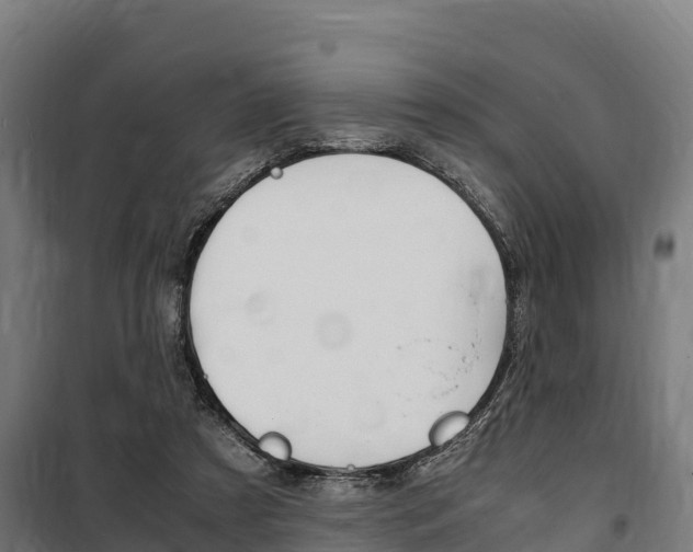 X0000100850305200806200808