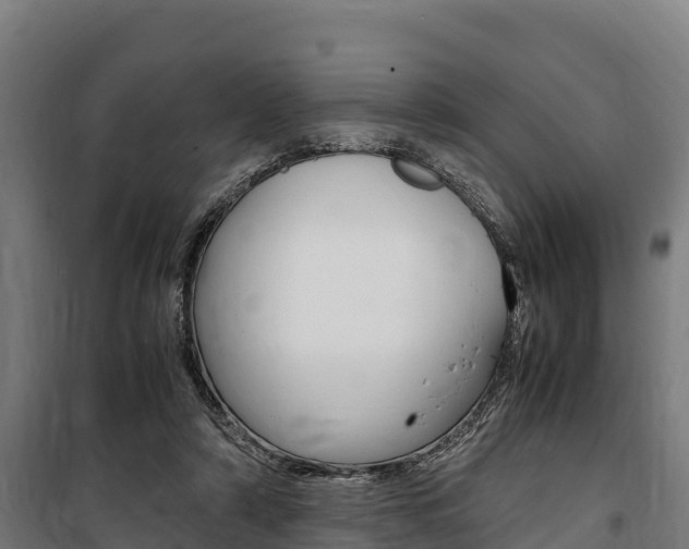 X0000100850306200806200808