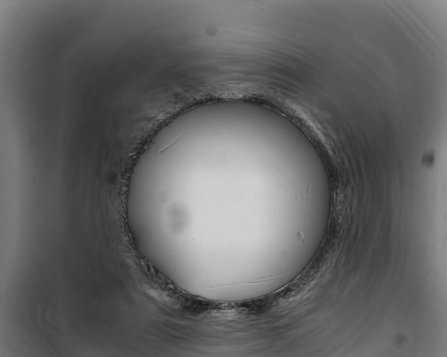 X0000100850307200806200808