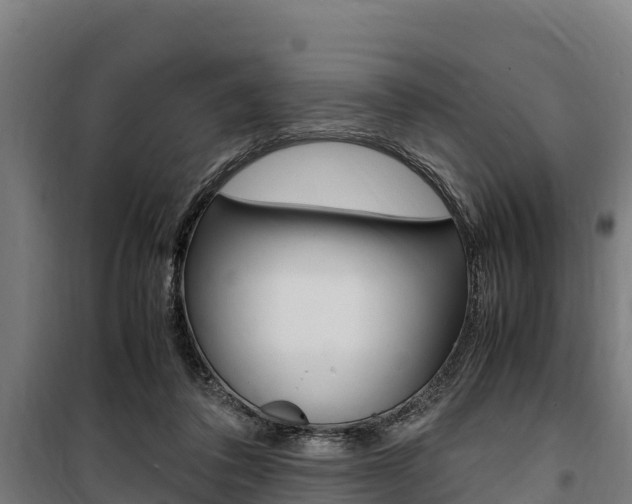 X0000100850308200806200808
