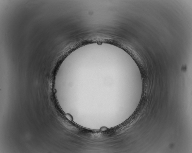 X0000100850309200806200808