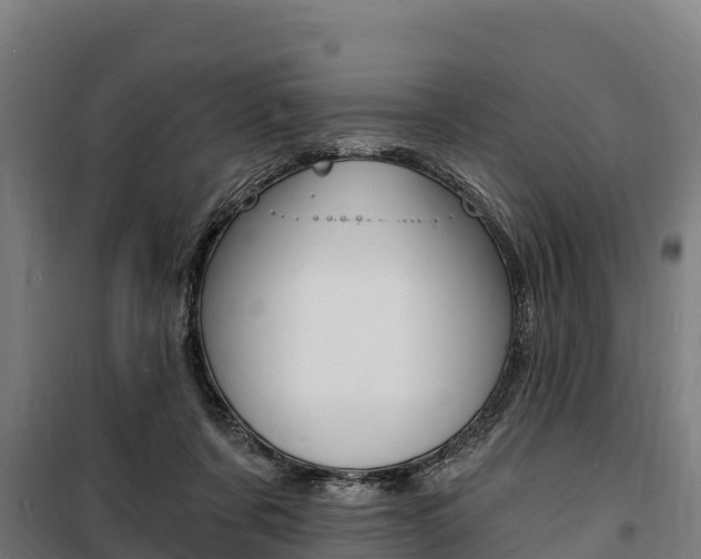 X0000100850311200806200808