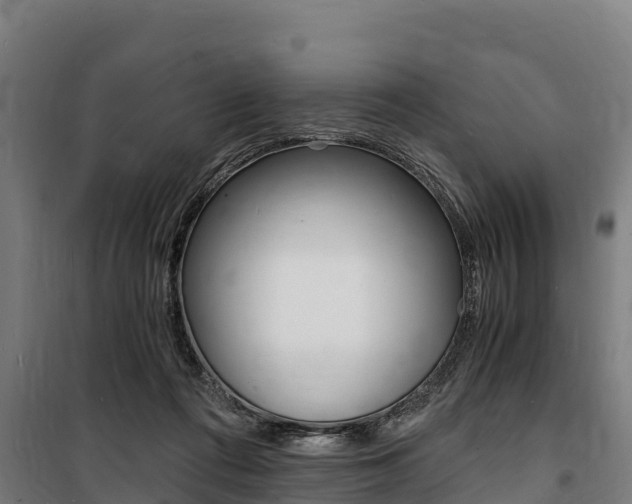 X0000100850312200806200808