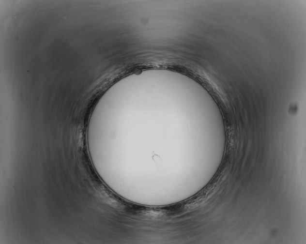 X0000100850313200806200808
