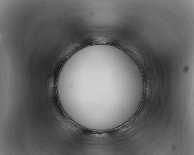 X0000100850314200806200808