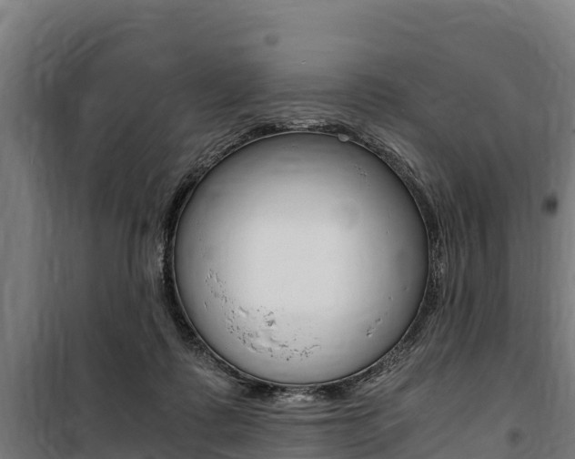 X0000100850315200806200808