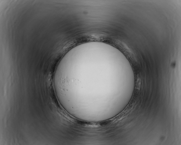 X0000100850318200806200808