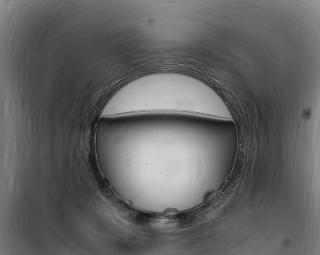 X0000100850319200806200808