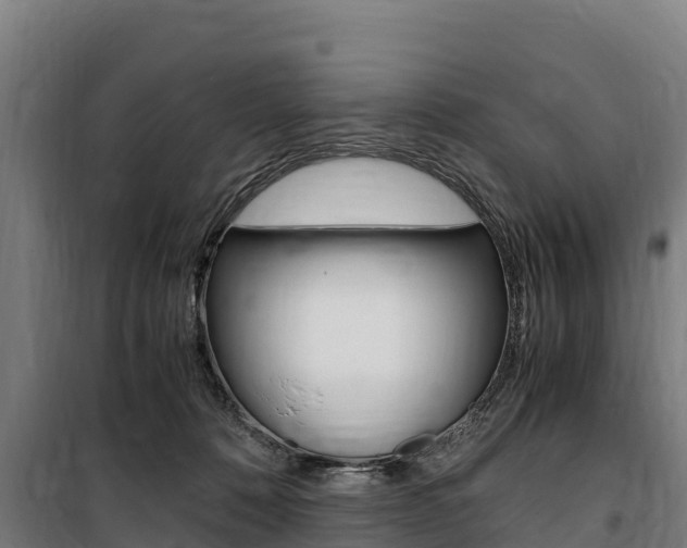 X0000100850320200806200808