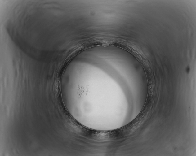 X0000100850325200806200808
