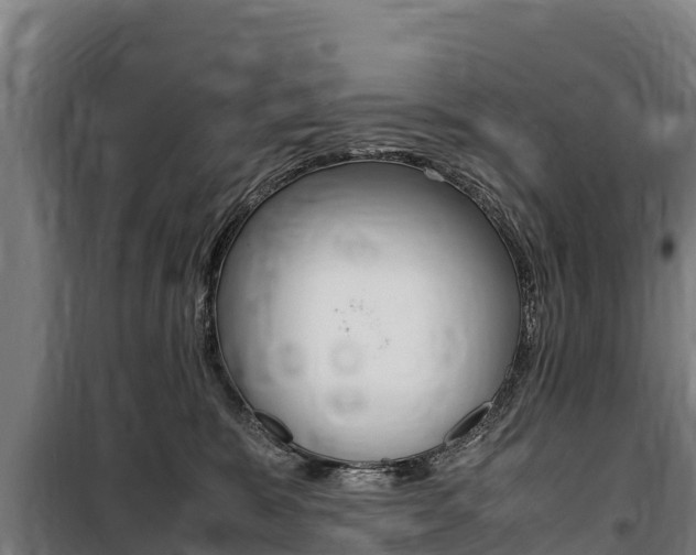 X0000100850327200806200808