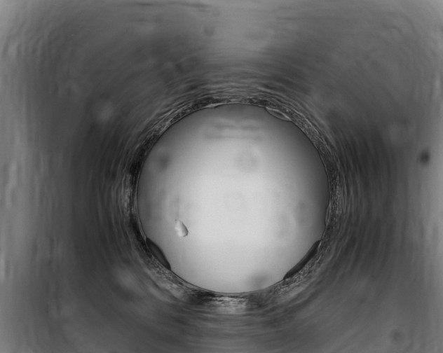 X0000100850328200806200808