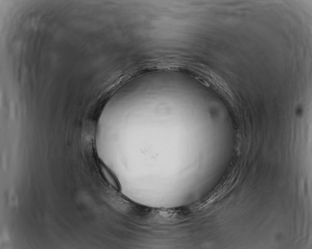 X0000100850329200806200808