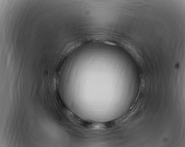 X0000100850333200806200808