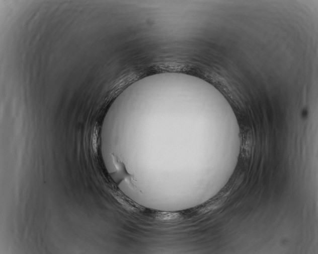 X0000100850334200806200808