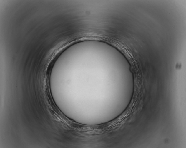 X0000100850338200806200807