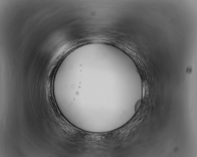 X0000100850339200806200807