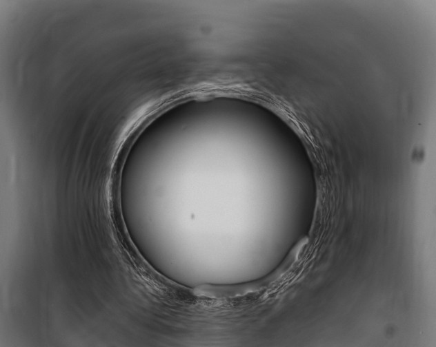 X0000100850340200806200807