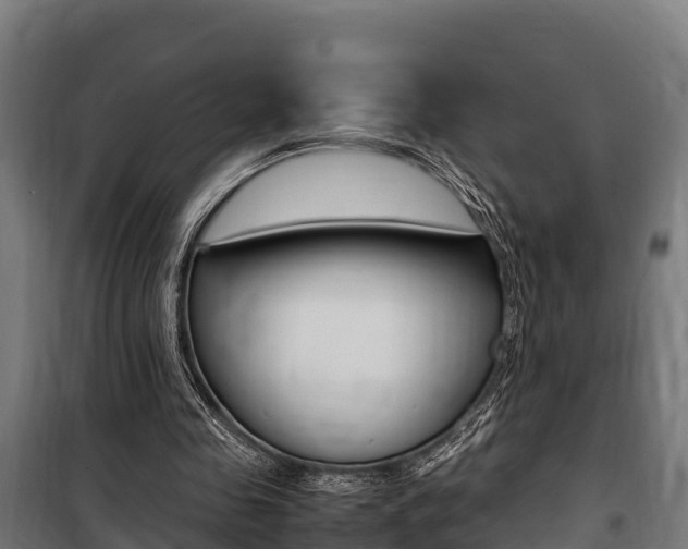X0000100850341200806200807