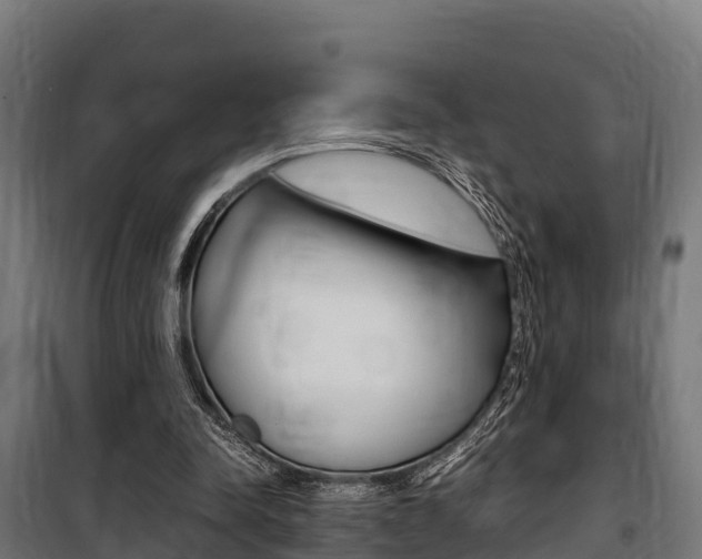 X0000100850342200806200807