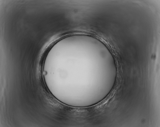 X0000100850343200806200807