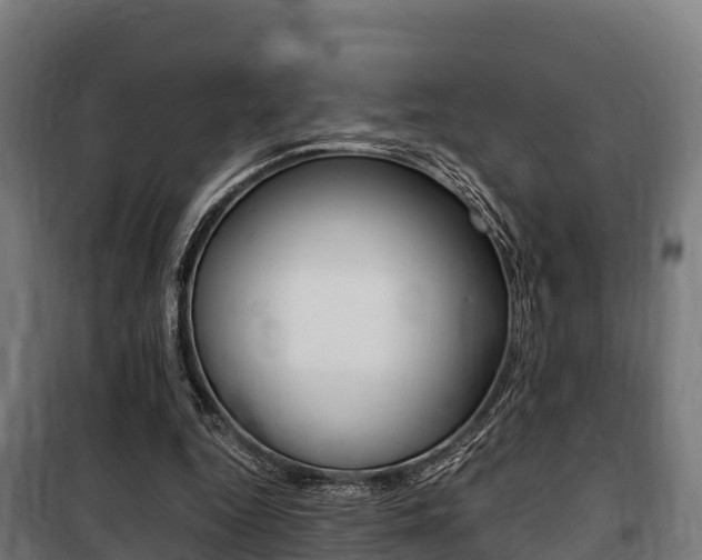 X0000100850344200806200807