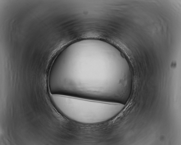 X0000100850345200806200807