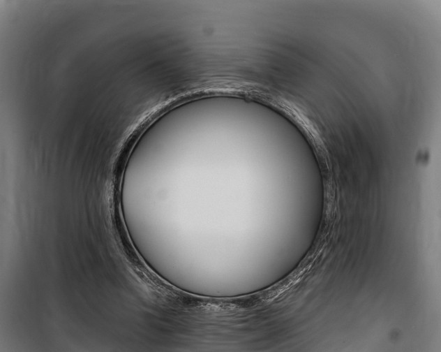 X0000100850346200806200807