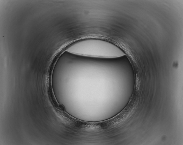 X0000100850348200806200807