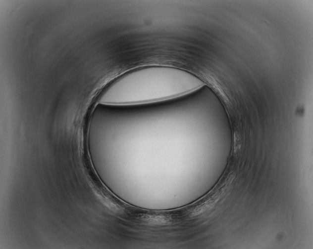 X0000100850349200806200807