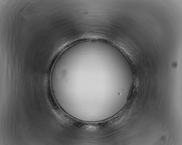 X0000100850352200806200807