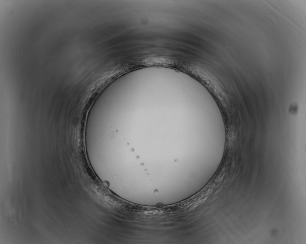 X0000100850353200806200807
