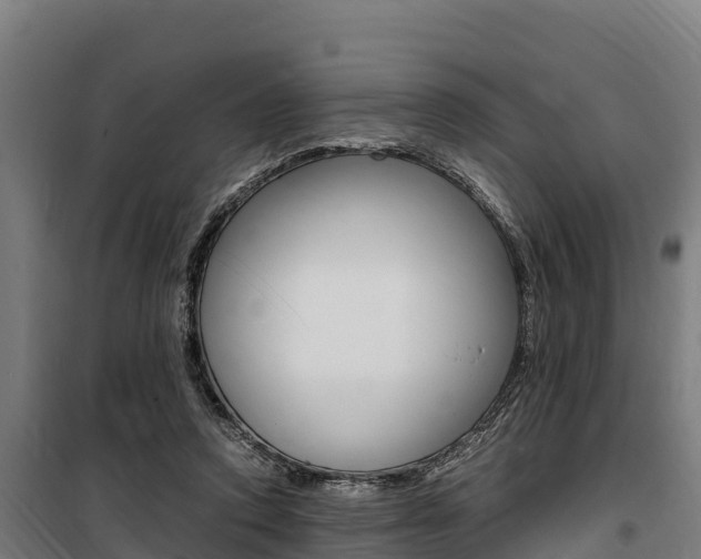 X0000100850354200806200807