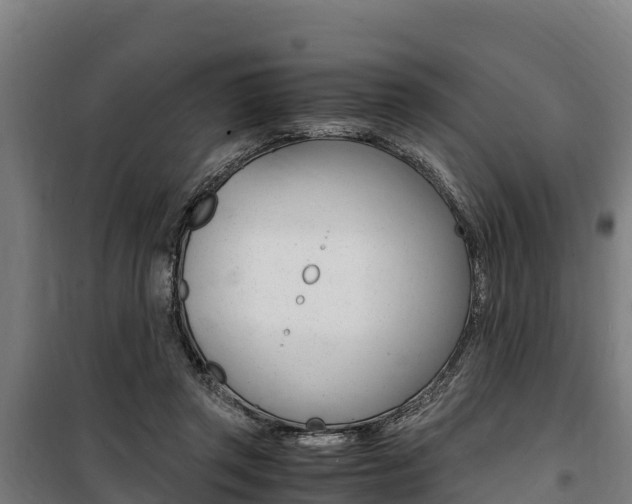 X0000100850357200806200807