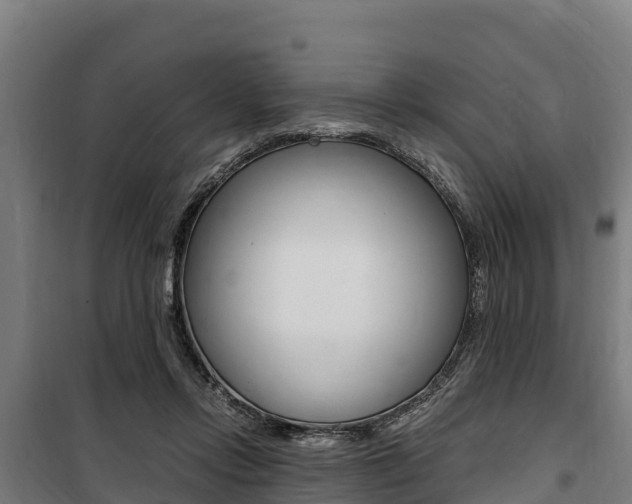 X0000100850358200806200807