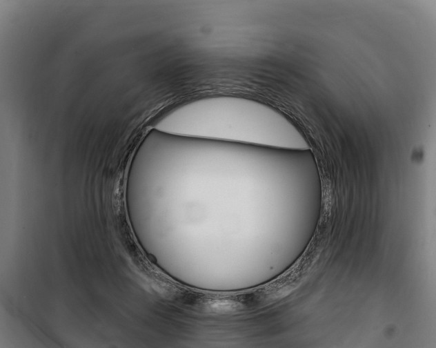 X0000100850360200806200807
