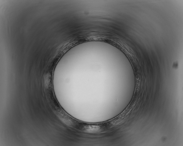 X0000100850361200806200807