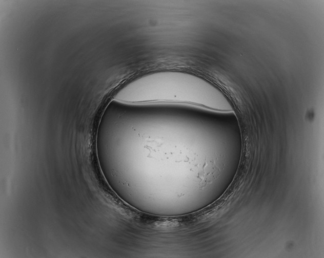 X0000100850362200806200807