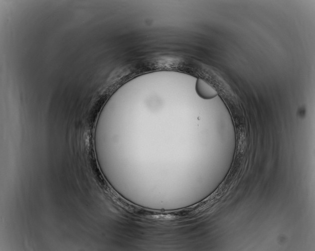 X0000100850363200806200807