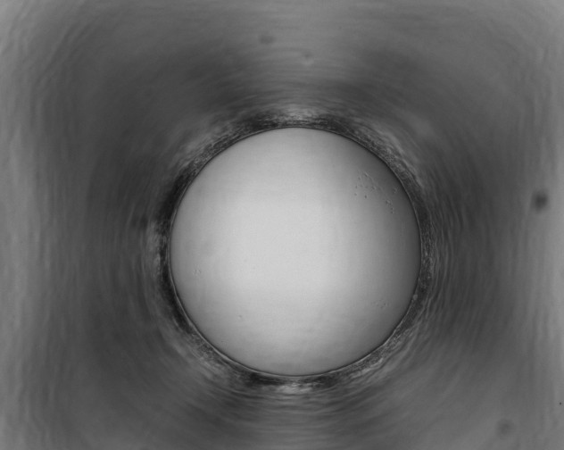 X0000100850366200806200808