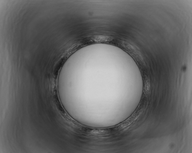 X0000100850367200806200808